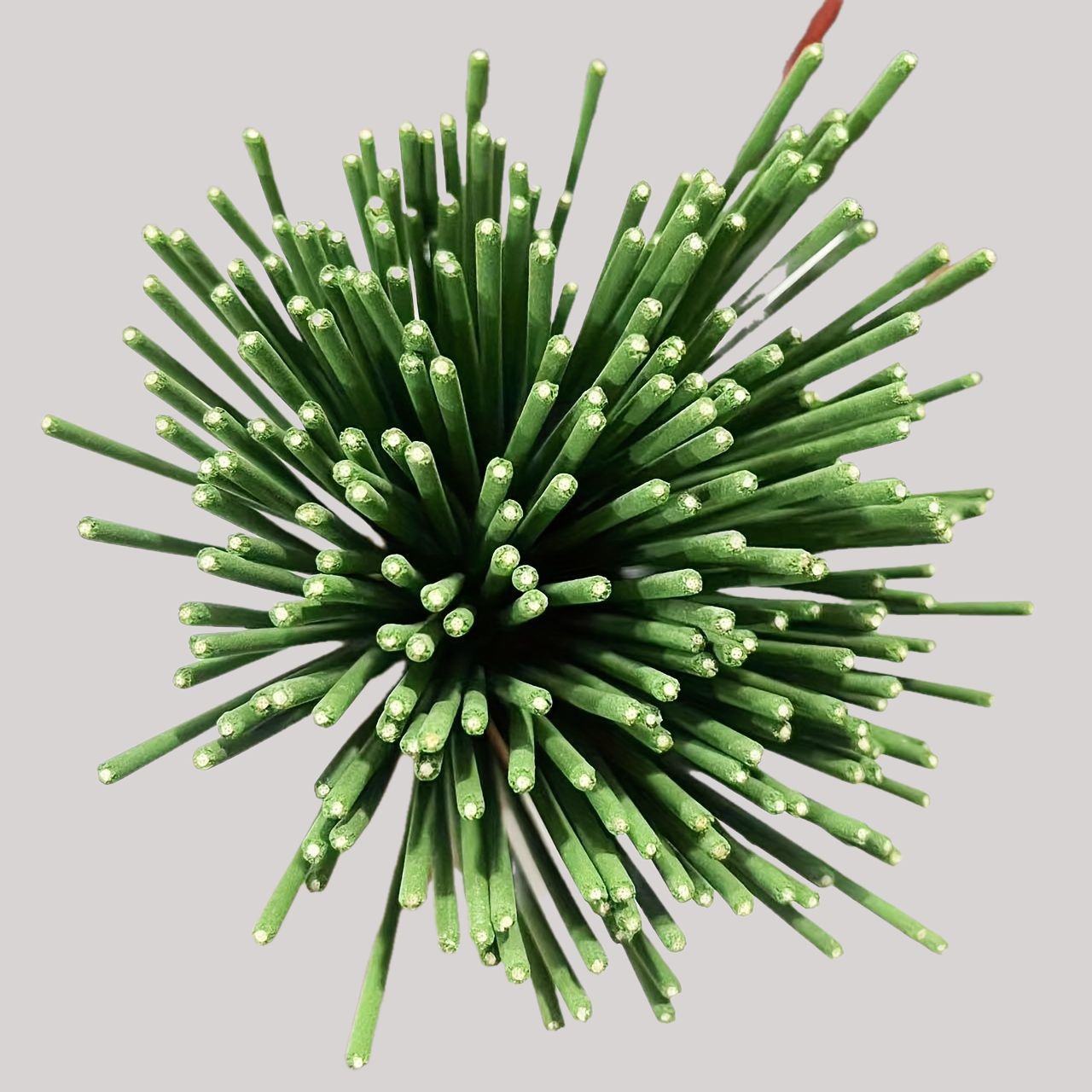 Stik Reed Diffuser Aroma Serai - Home Fragrance Best ulasan dan harga